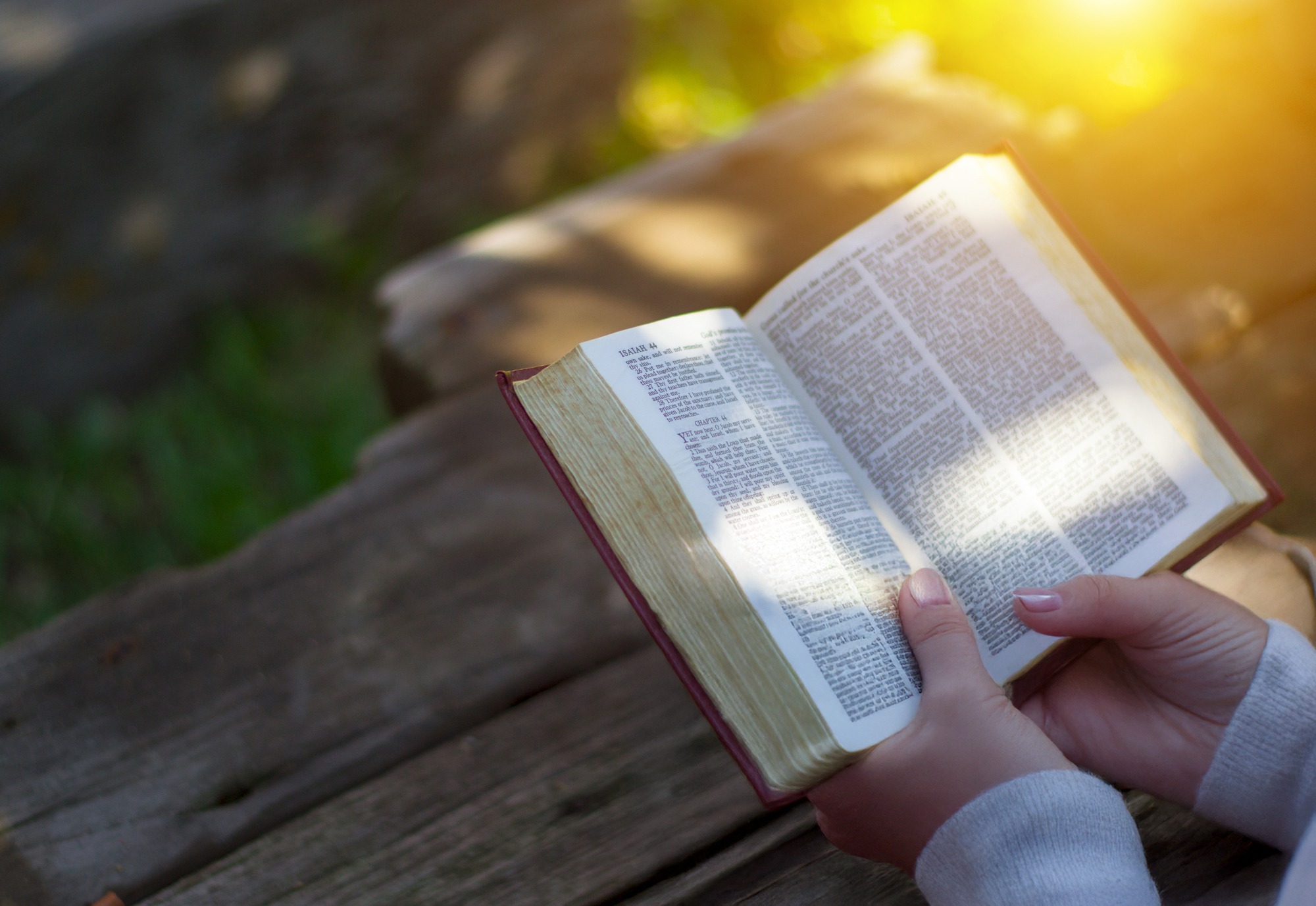 A woman holding a bible